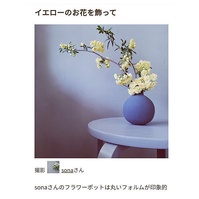 sonaさんの実例写真