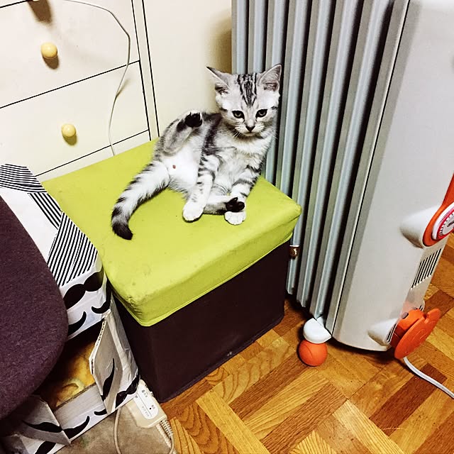 tanutanさんの実例写真