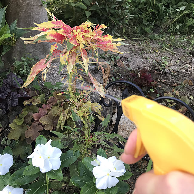 hachi1023さんの実例写真