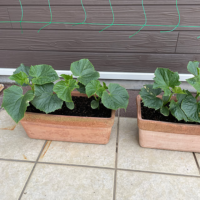 Andaluciaさんの部屋