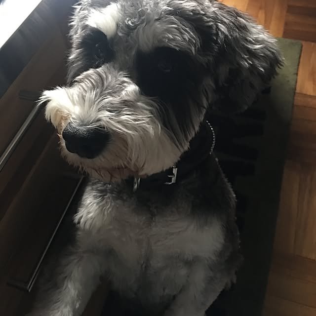 margoandcoさんの実例写真