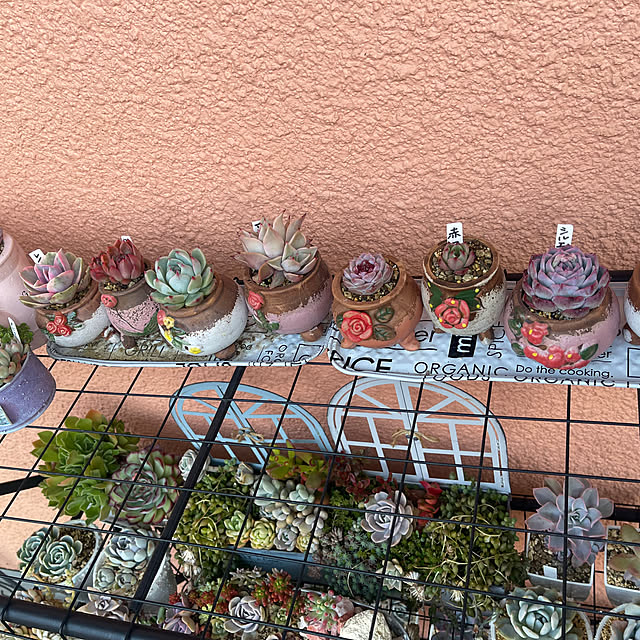 Rrikaさんの部屋