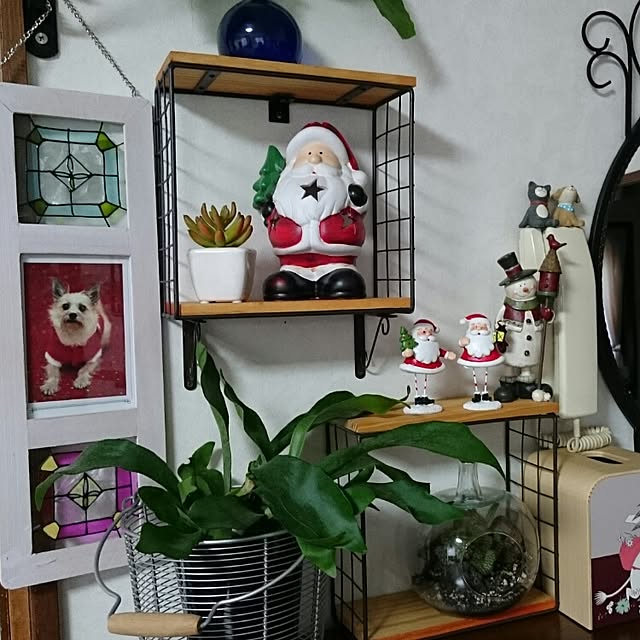 runaさんの実例写真
