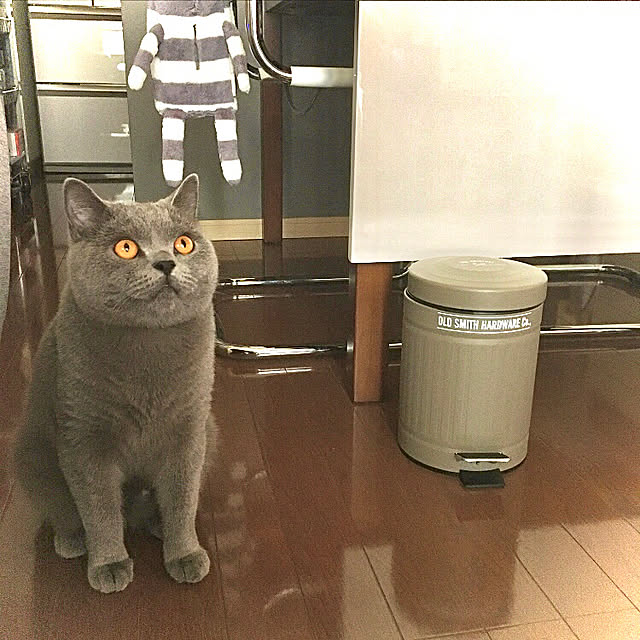 kittyさんの実例写真