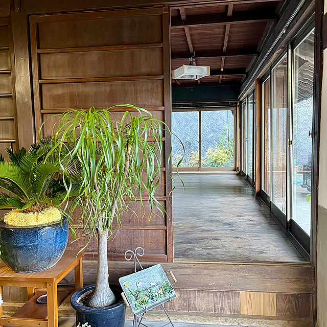 cotaさんの部屋