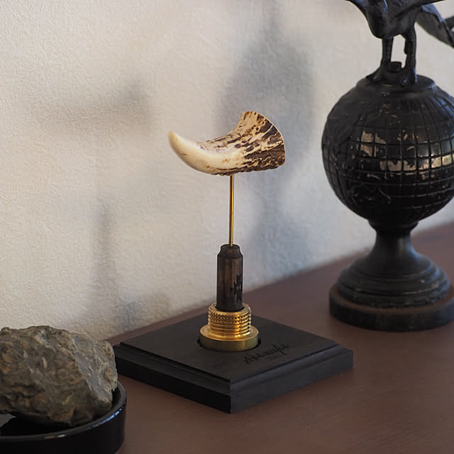 Akiy15さんの部屋