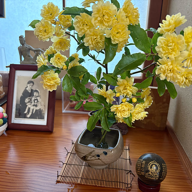 Nagakoさんの実例写真
