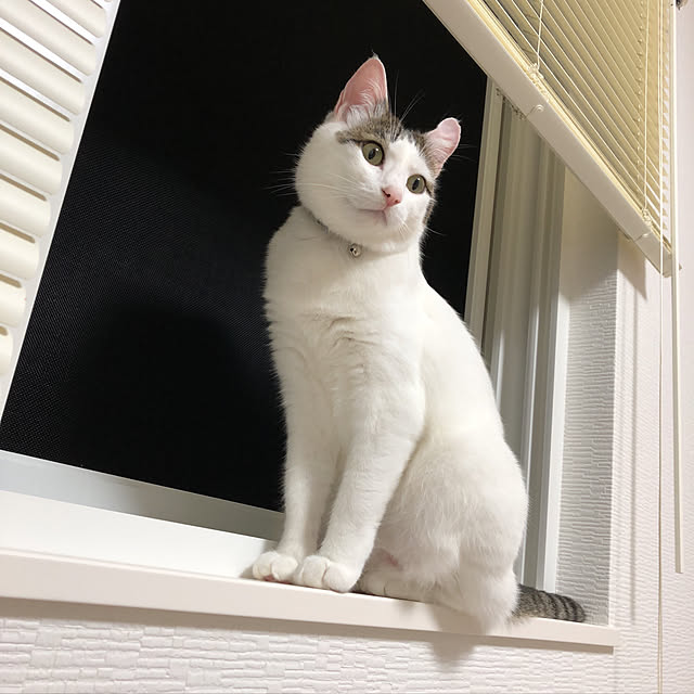 nnkttoさんの実例写真