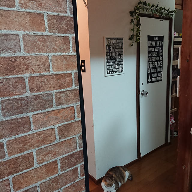 berariさんの実例写真