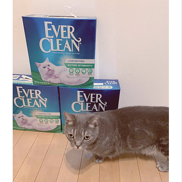 moyoさんの実例写真