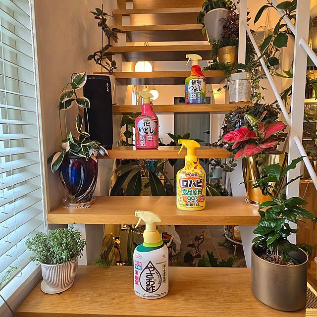nonbiri_house_さんの実例写真