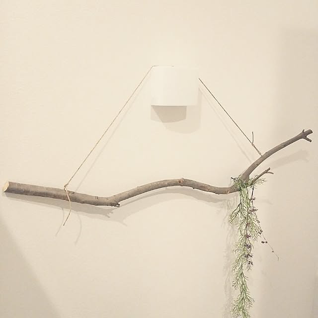 kaanaさんの実例写真