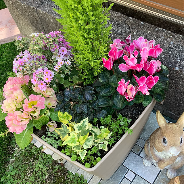 haruminさんの実例写真