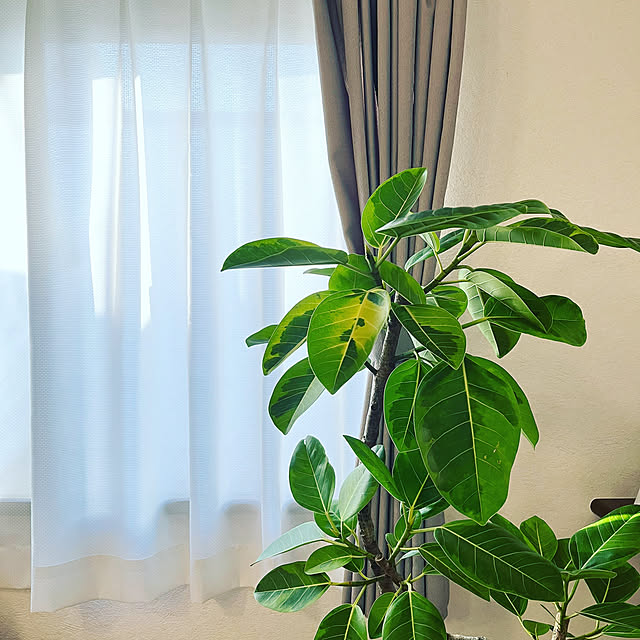 create_a_roomさんの実例写真
