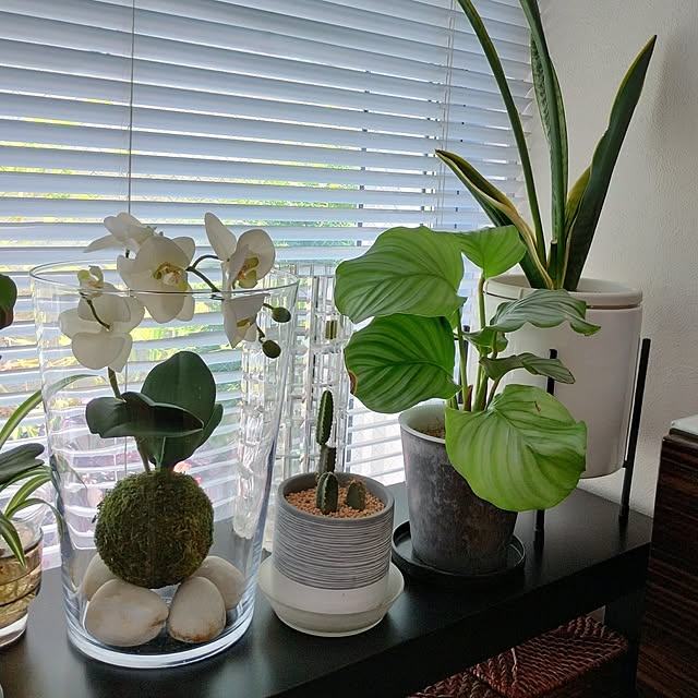 jinさんの部屋