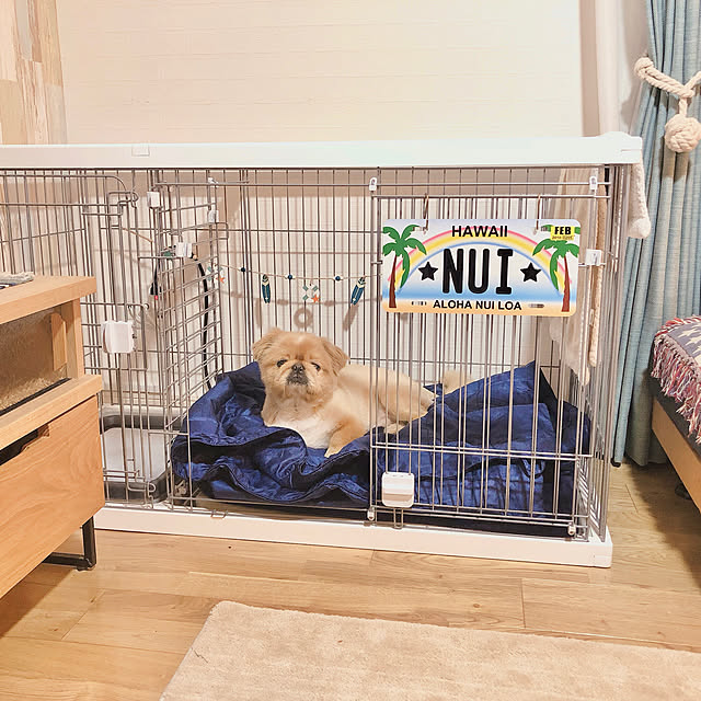 NUIさんの実例写真