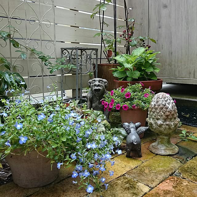 figaroさんの実例写真