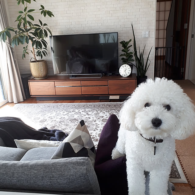 matthewさんの実例写真