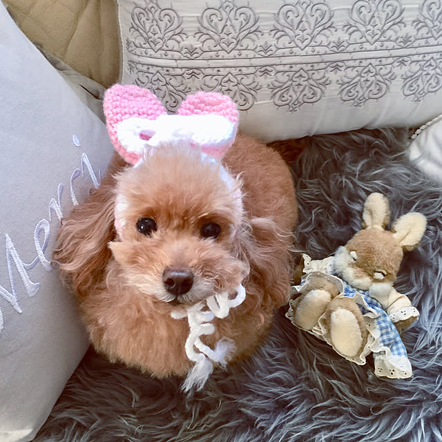 anguさんの実例写真