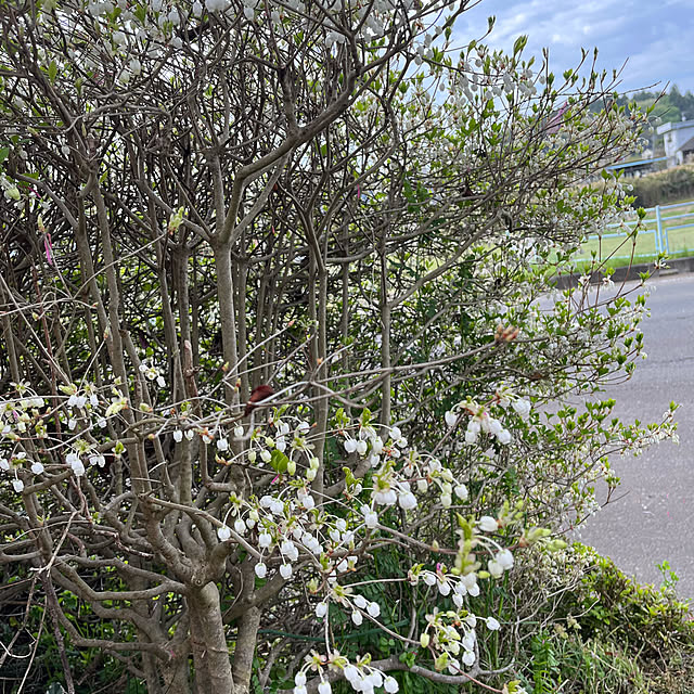 mogumoguさんの部屋