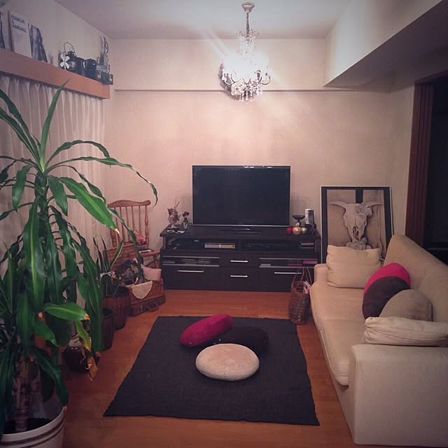 DailyRoomclip