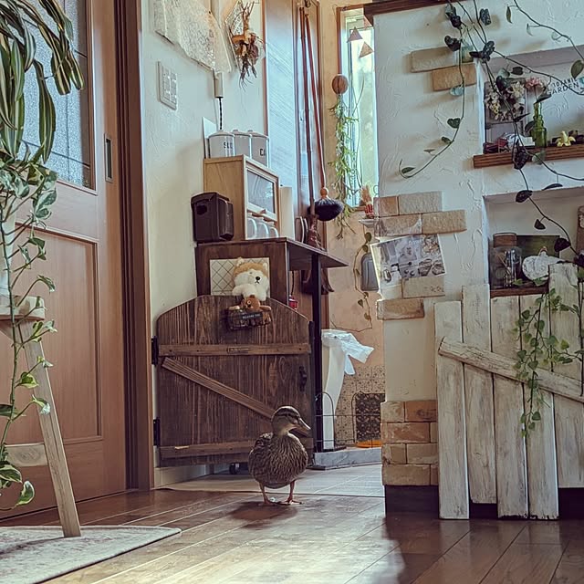 akiさんの部屋