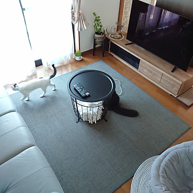 kumiさんの実例写真