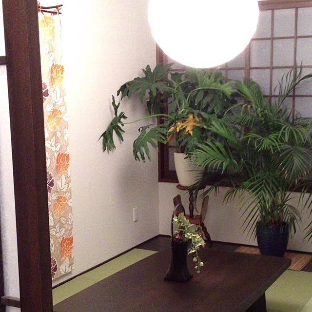 aoさんの実例写真