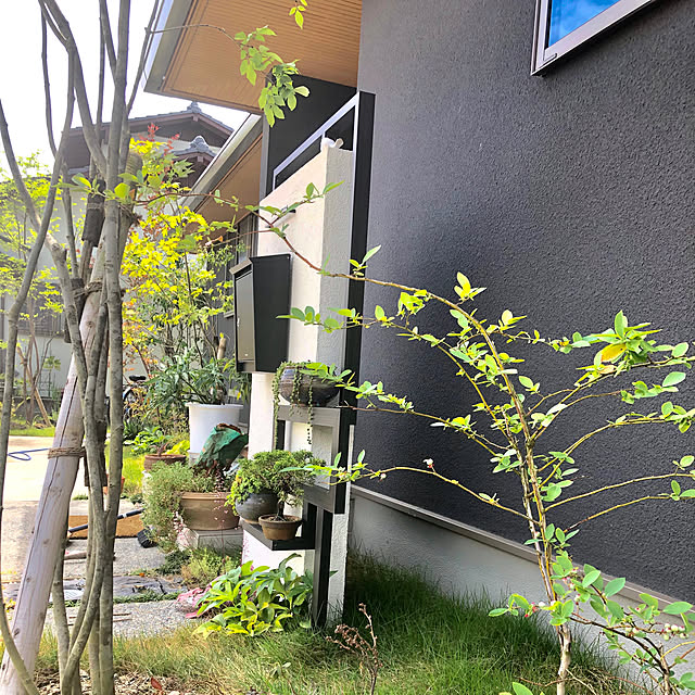 orangeさんの実例写真