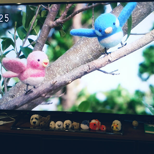kyukyuさんの実例写真
