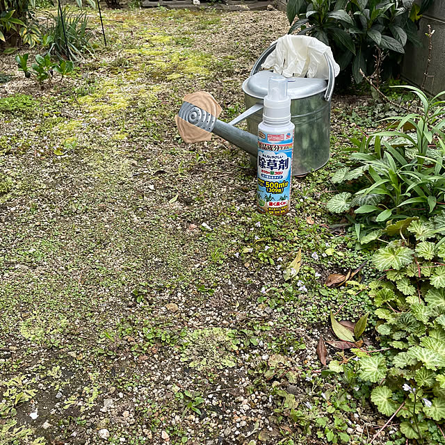 nobikoさんの部屋