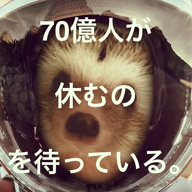 kuruさんの実例写真