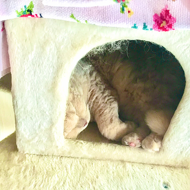 naokoさんの部屋