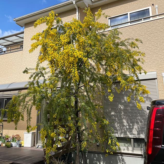 t-famさんの部屋