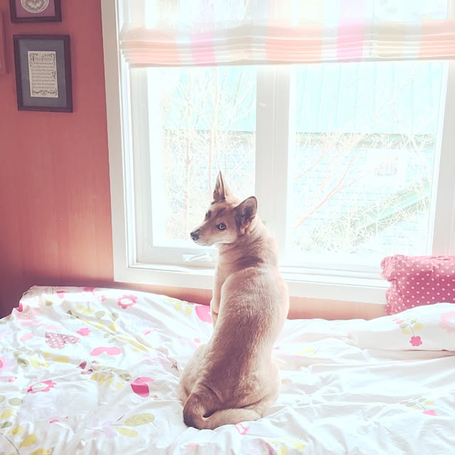 not_usingさんの実例写真