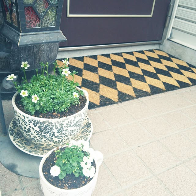 sunflowerさんの実例写真