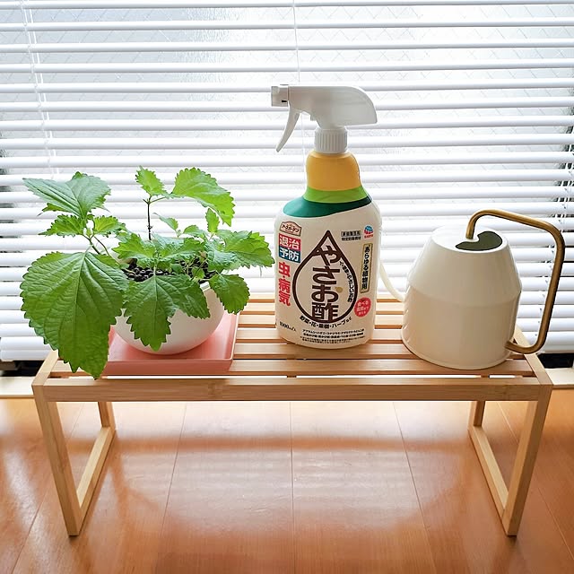 38さんの実例写真