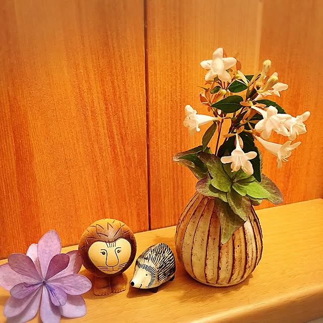 punyukiさんの実例写真