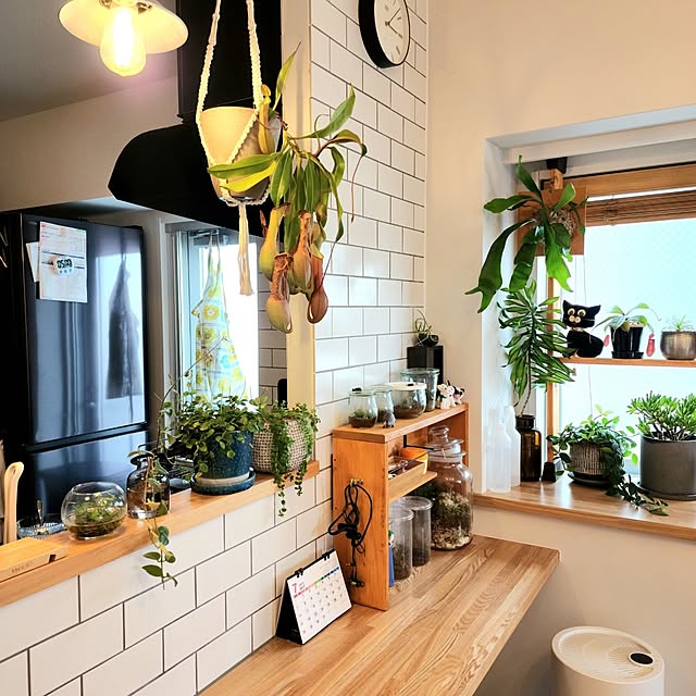 gogosuzuchanさんの部屋