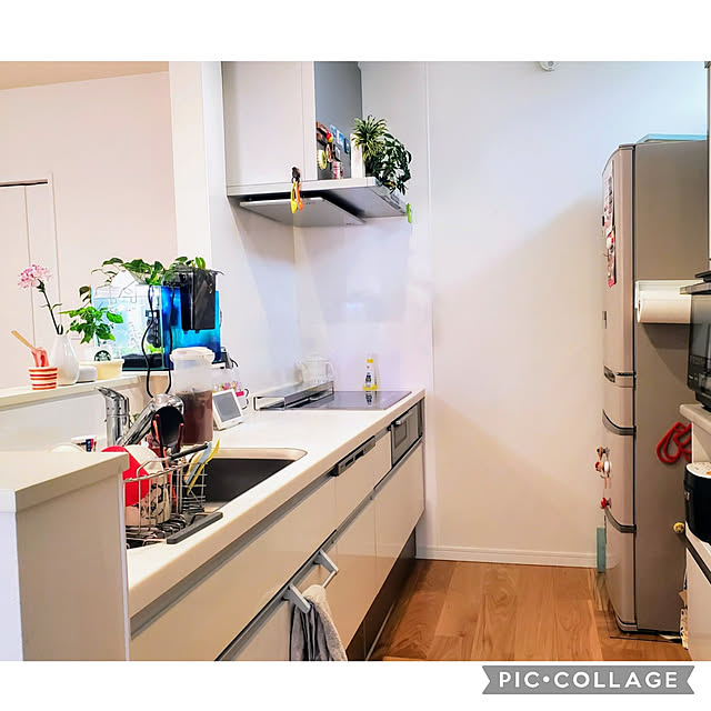 tomatopapaさんの実例写真