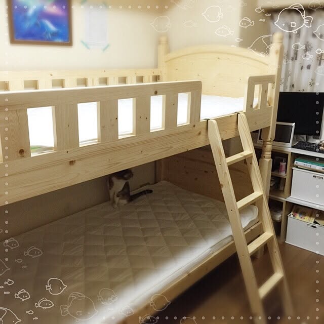 tunaさんの実例写真