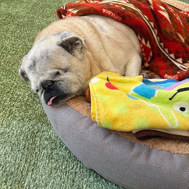 kellyさんの部屋