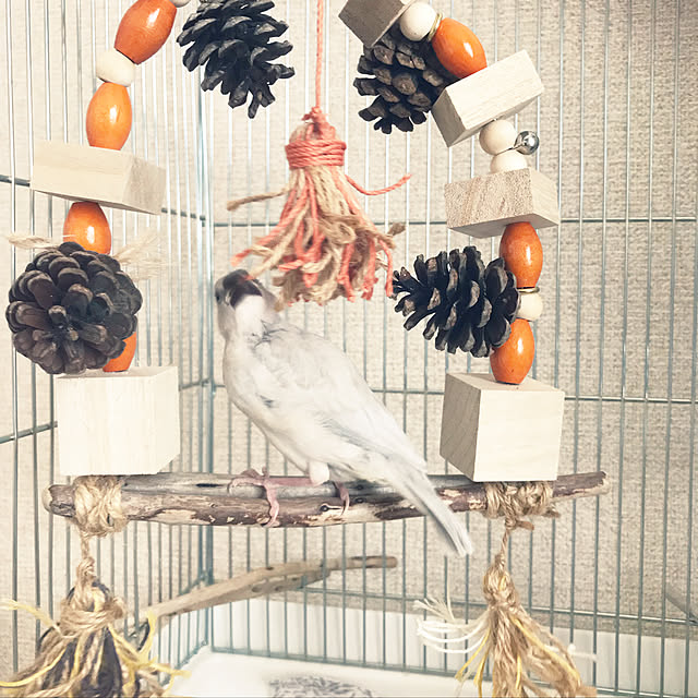 mokiさんの実例写真