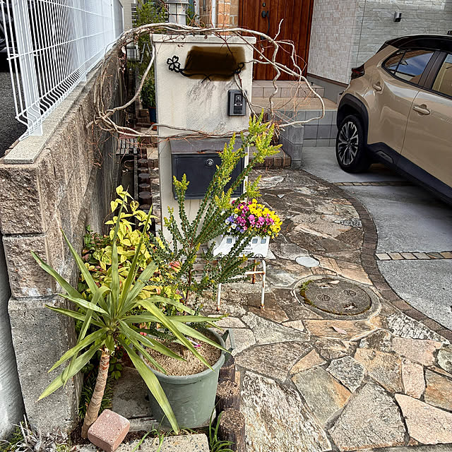 ayayayayaさんの部屋