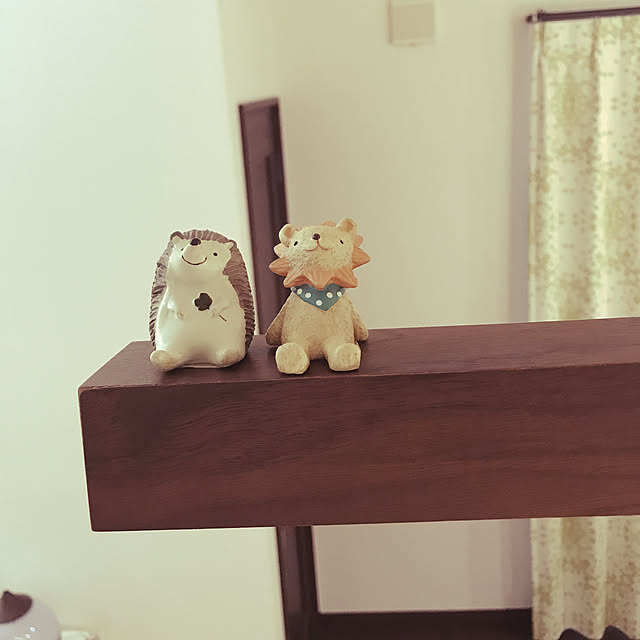 kakakaoooruさんの実例写真
