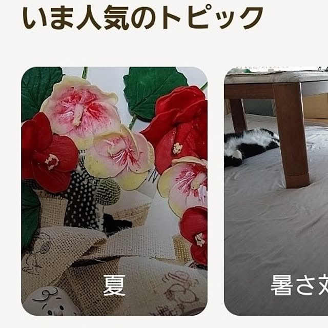ANTENNAさんの実例写真
