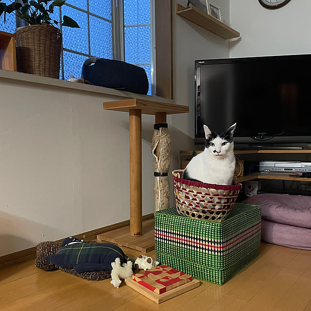 nobikoさんの部屋