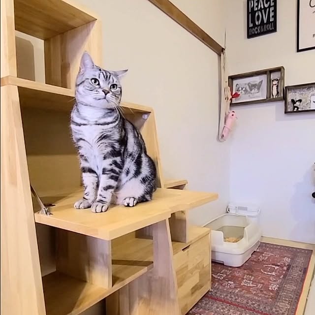 lovepeaceさんの部屋