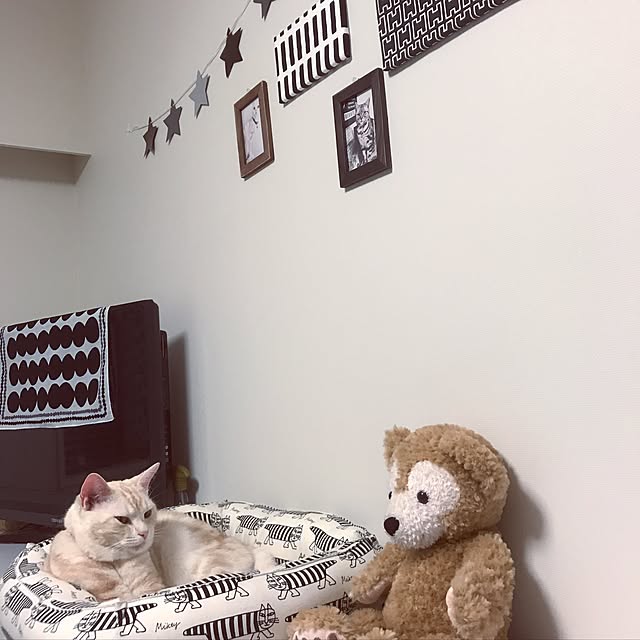 hiyupan88さんの実例写真