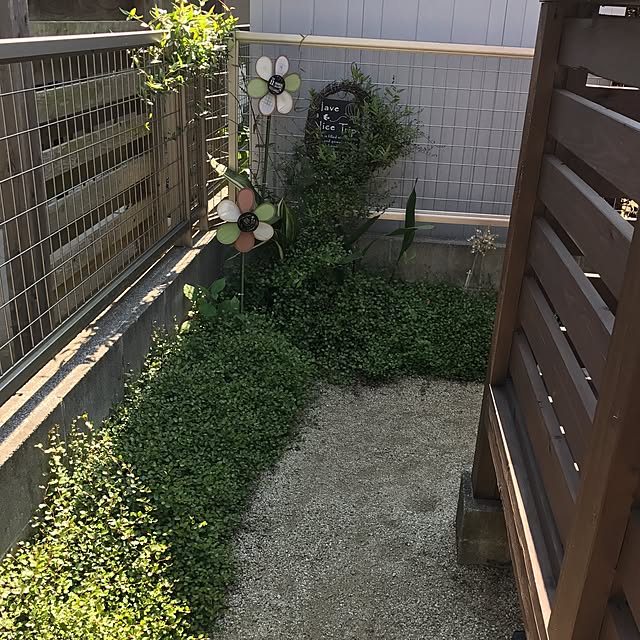 portulacaさんの実例写真